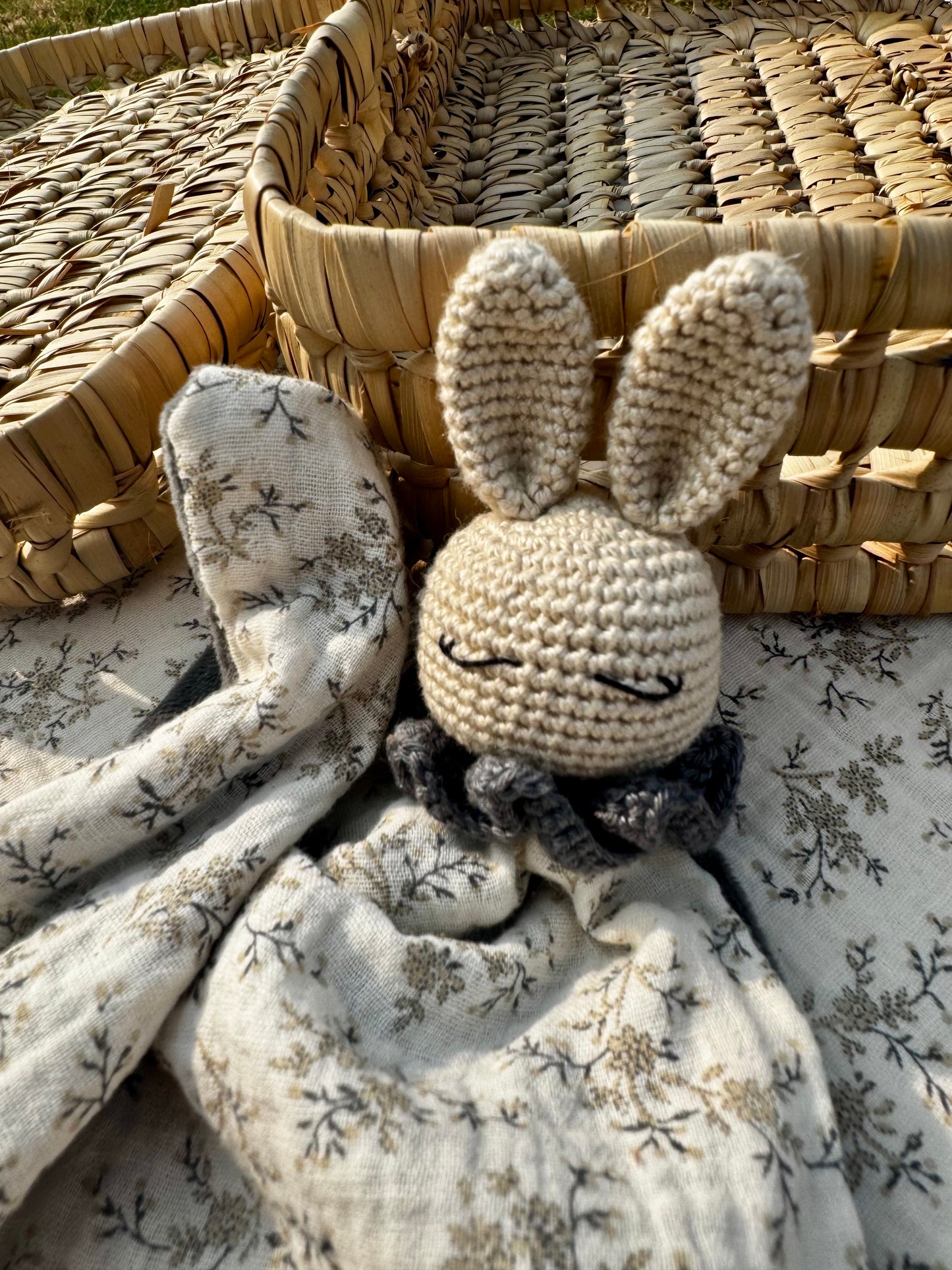Célestin le Lapin